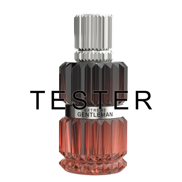 Tester Extreme Gentleman Mirada - парфумована вода чоловіча (tester) 100 мл